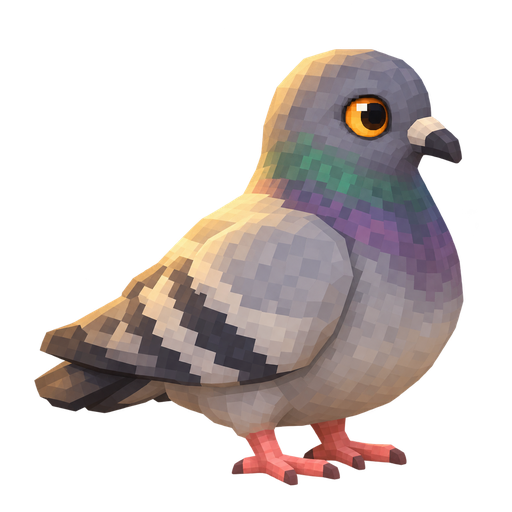 Pigeon